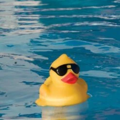 G.A.M.E. - Derby Duck Pool And Spa Thermometer -Swimline Shop Derby Duck Pool and Spa Thermometer 4